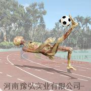 踢足球姿势塑化标本
